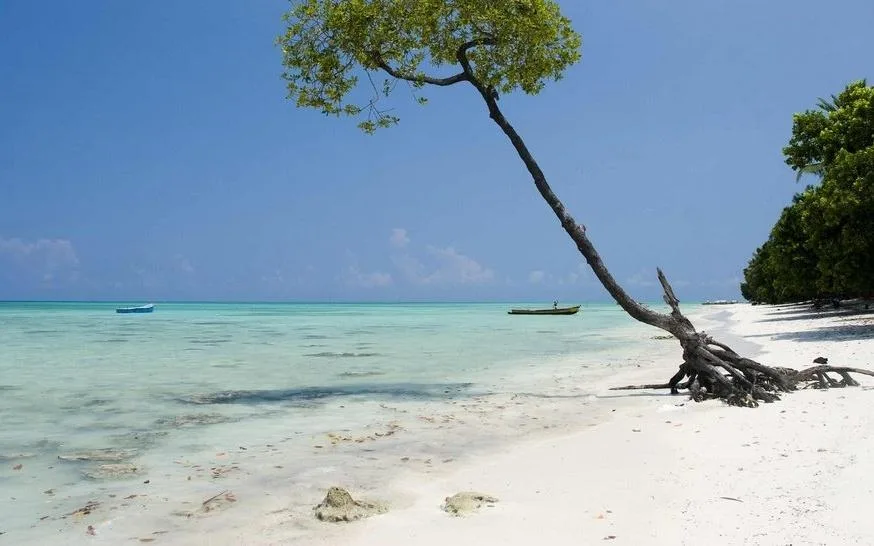 Elephant Beach, Havelock
