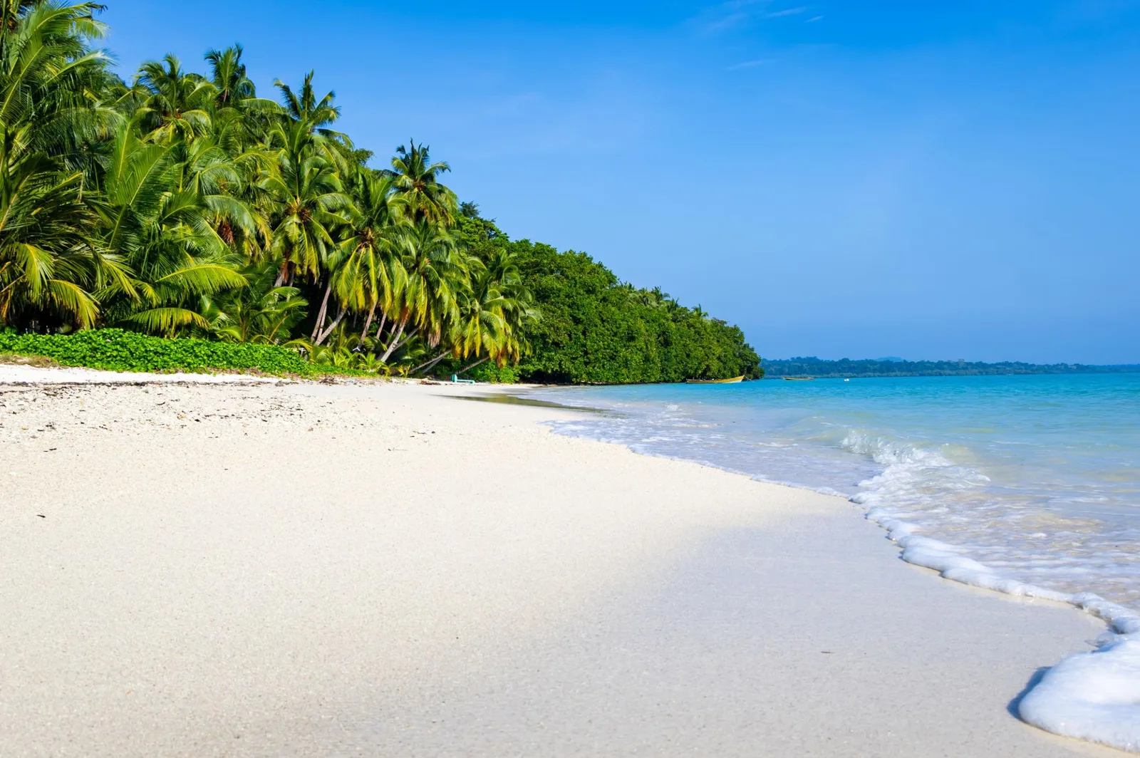 White-sand Andaman beach