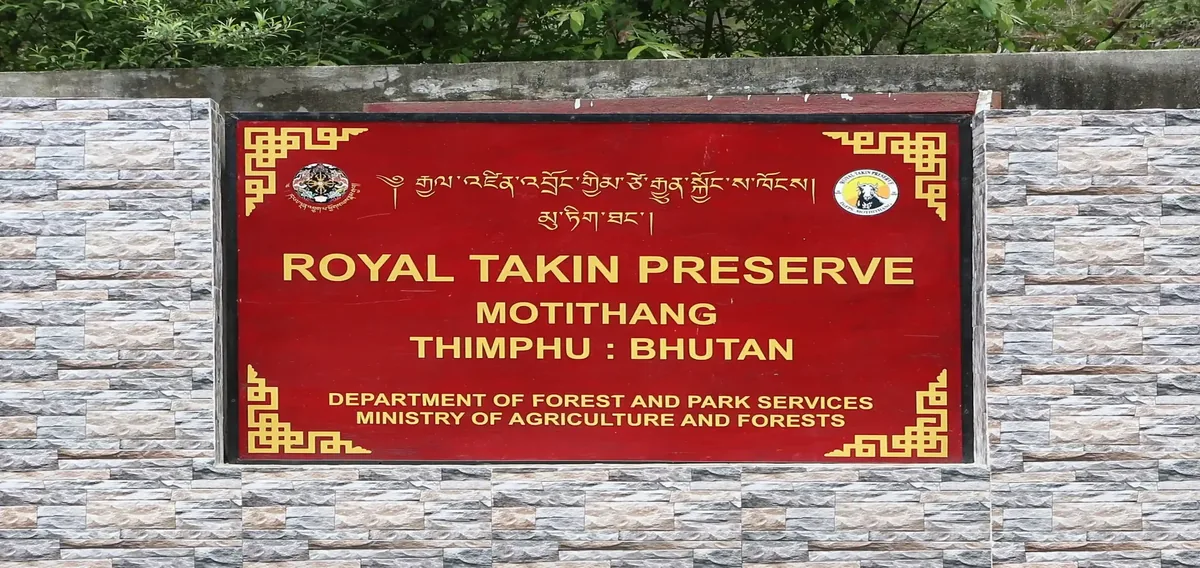 Bhutan Motithang Takin Preserve