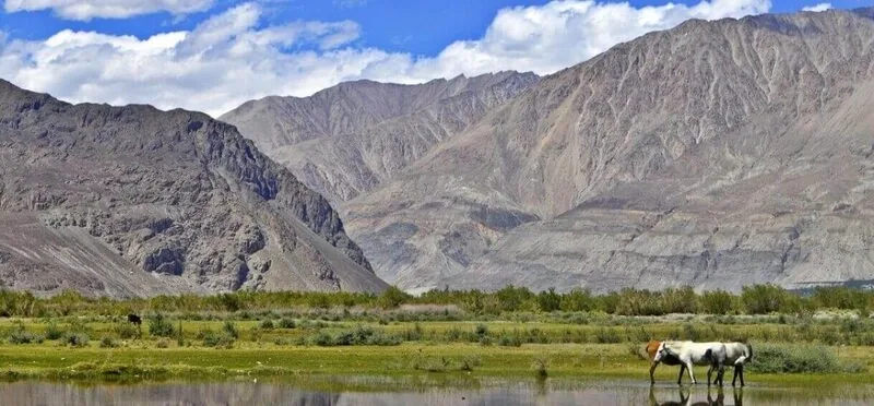 Hunder Gompa
