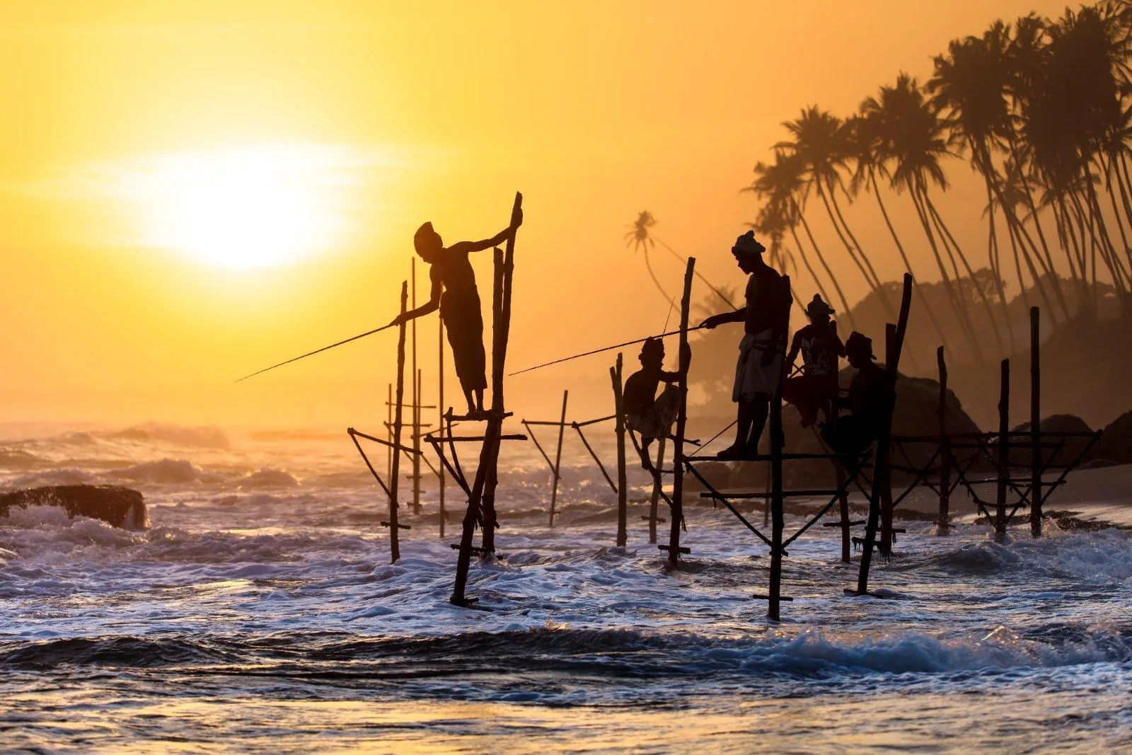 Traditional stilt fishermen, Sri Lanka