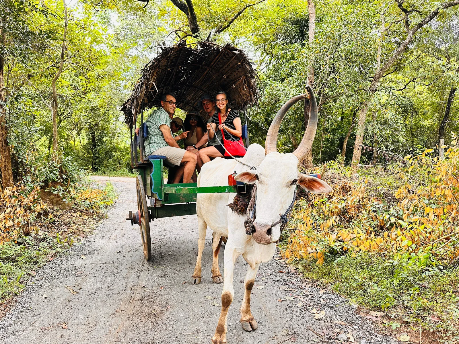 Village bullock-cart ride, Sri Lanka